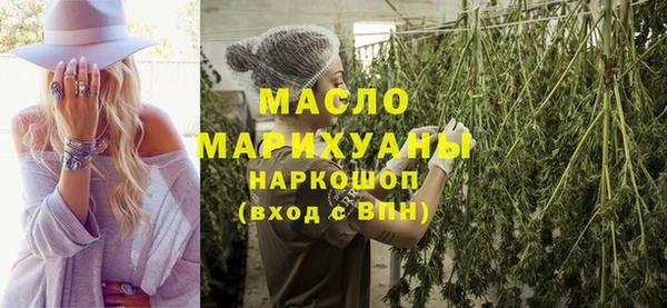 сатива Кулебаки