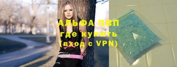 сатива Кулебаки