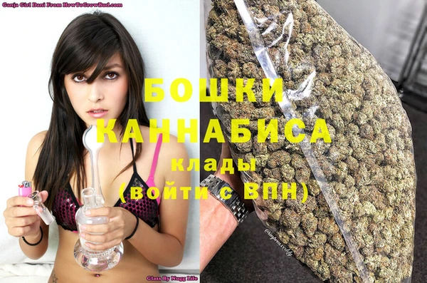 сатива Кулебаки