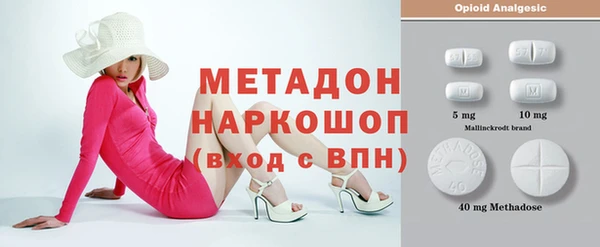 сатива Кулебаки