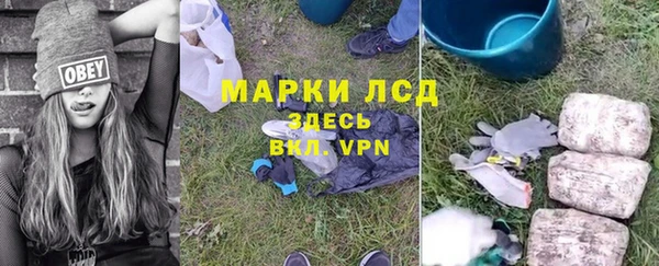 сатива Кулебаки