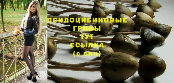 молекула духа Кукмор