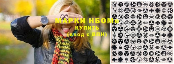 сатива Кулебаки