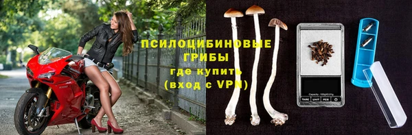 молекула духа Калининец
