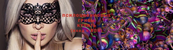сатива Кулебаки