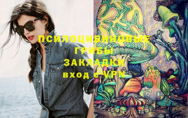 сатива Кулебаки
